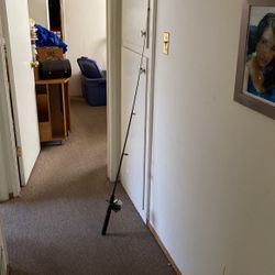 Fishing Rod With Reel