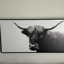 Highland Cow Framed Canvas 