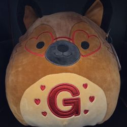 Squishmallows Plush Dog Medium 14-24 in Heart Glasses Red G Valentine's Day