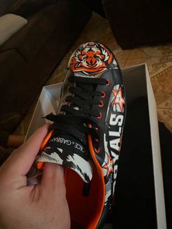 Dolce gabbana royal addition