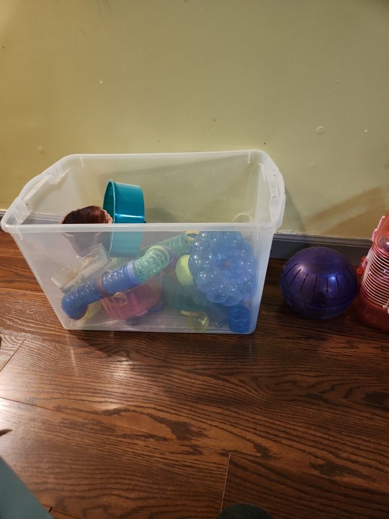 Hamster Equipment