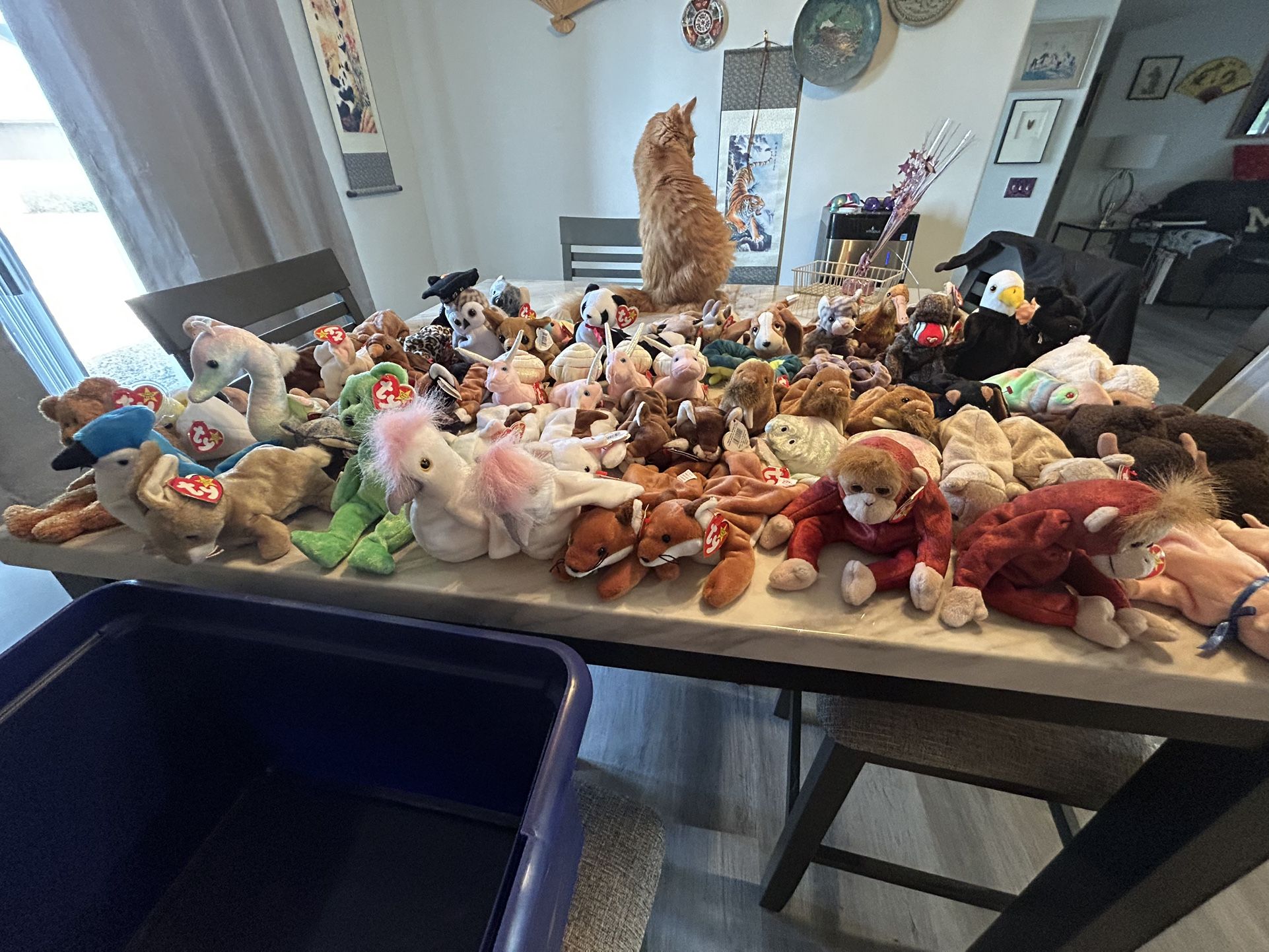 Original 1990 To 1999 Beanie Babies 61 In The Box