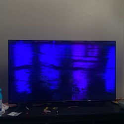 65 Inch Flat Screen Tv