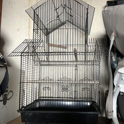 Bird Cage 