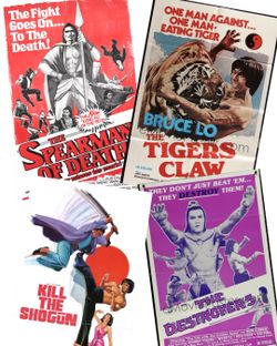 Vintage Kung Fu Movie Poster Lot