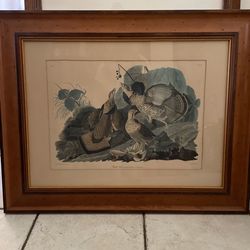 18 Century Paintings Vintage