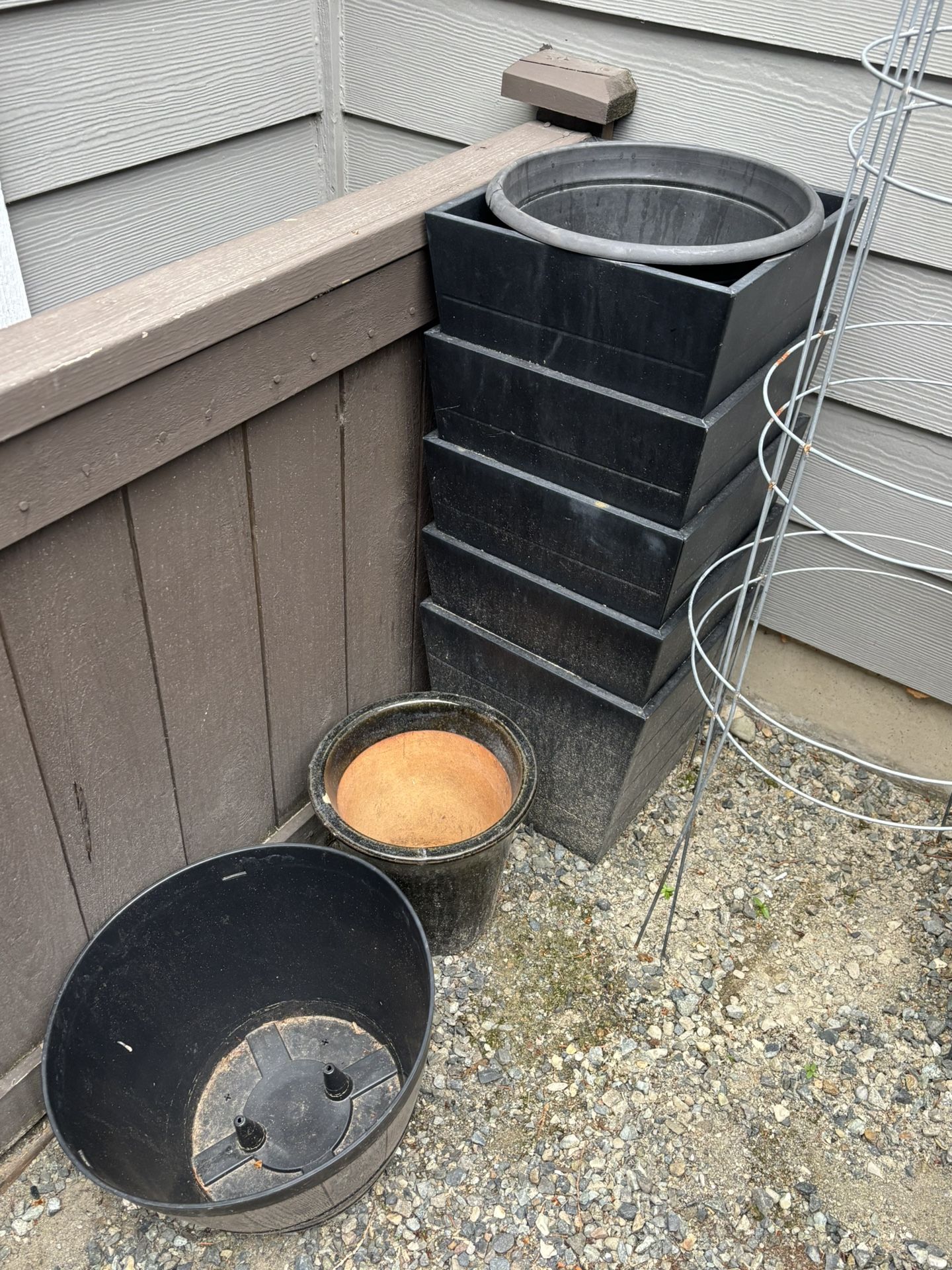 Free Flower Pots & Carpet