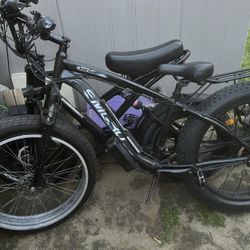 Electric Bikes