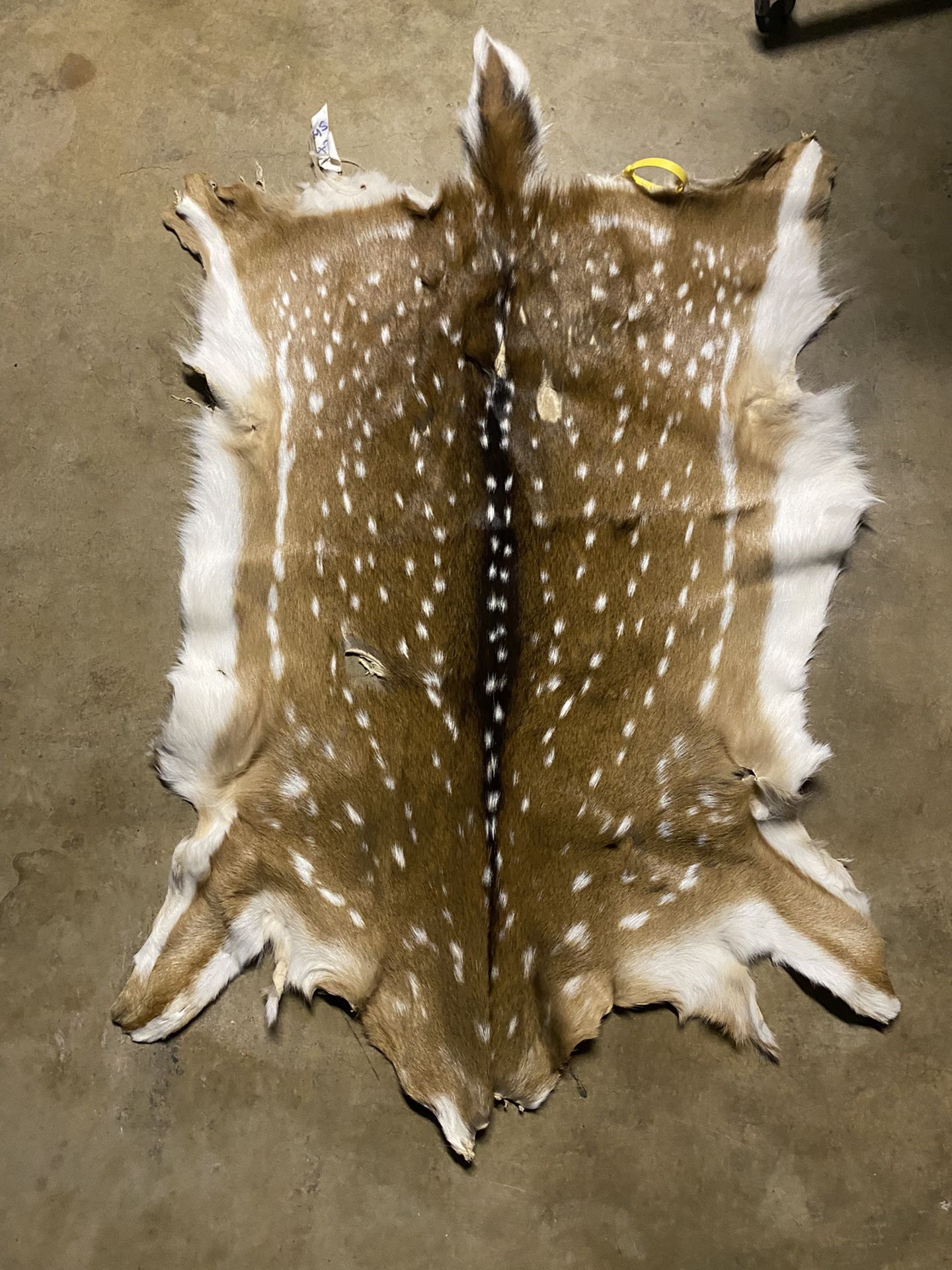Axis Deer Hide (tanned) for Sale in San Antonio, TX - OfferUp