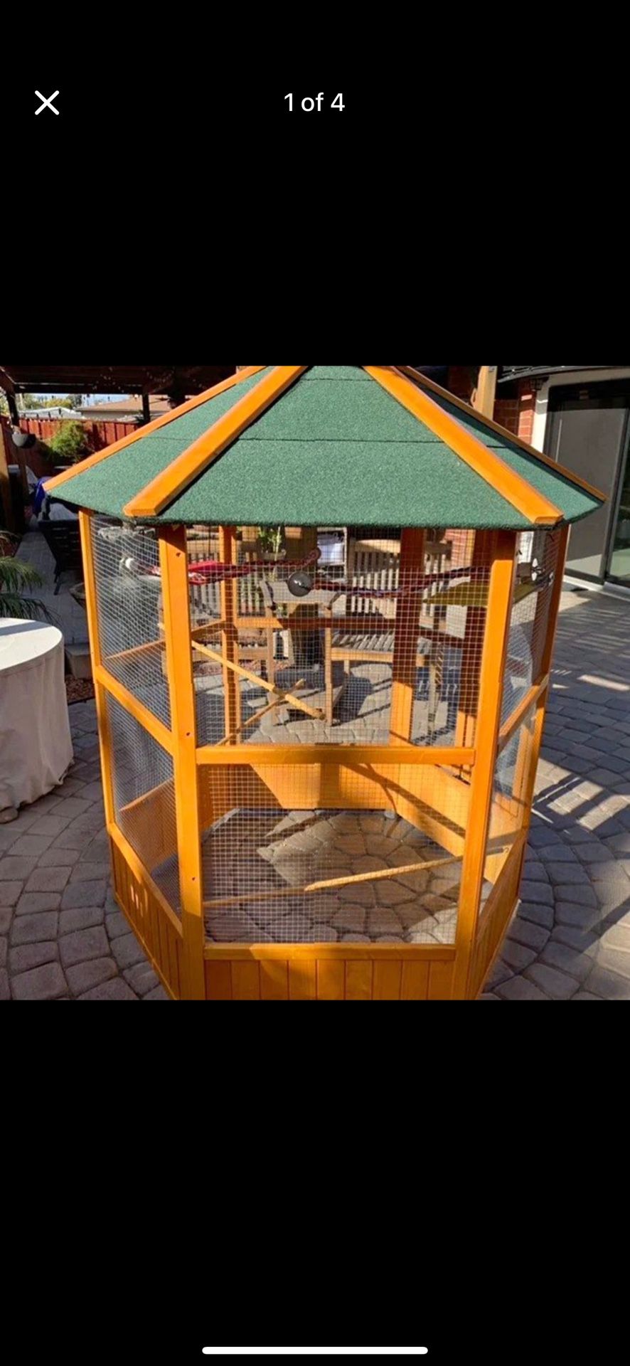 Finches Cage