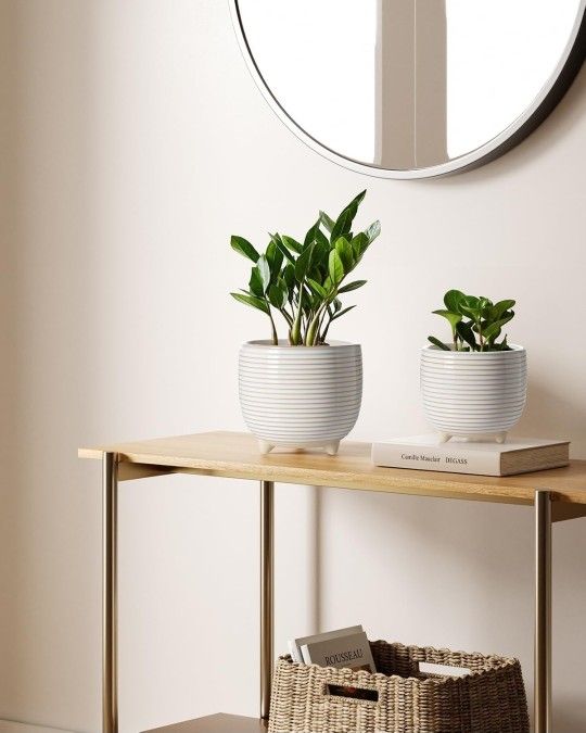 Ceramic Plant Pots, 5.1 + 6.4 Inch Footed Pots for Plants, Modern Flower Pots for Home and Office, Indoor Planters with Drainage, Reactive Gl