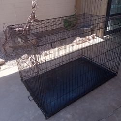 XL CARRIER DOG VERY GOOD CONDITION 