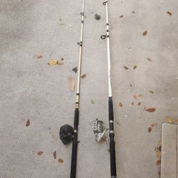 2 fishing poles