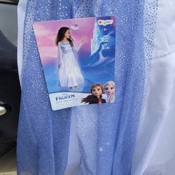 Frozen  Costume 