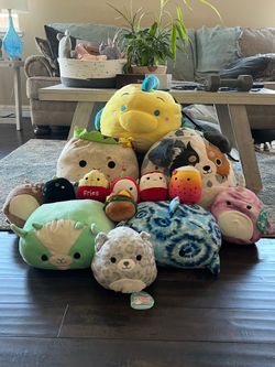 Large Lot of Squishmallows – Assorted Sizes & Characters – Great Condition