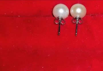 White Pearl Stud Earrings
