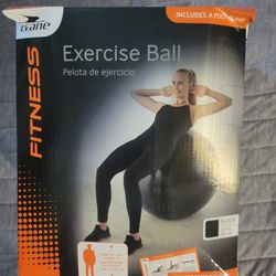 Crane 33 Inch Excercise Ball