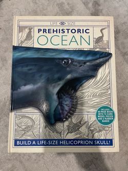 New-Prehistoric Ocean and Beast Books. Life size models