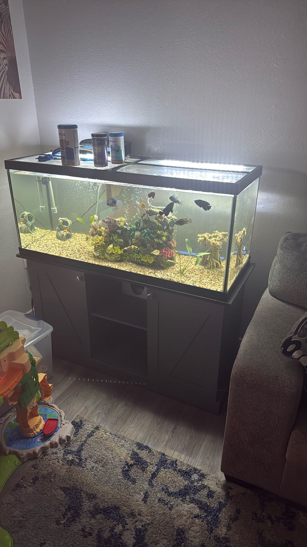 75 Gallon Fish tank