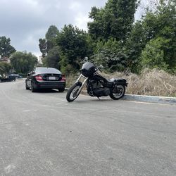 2008 Harley Davidson Dyna Street Bob