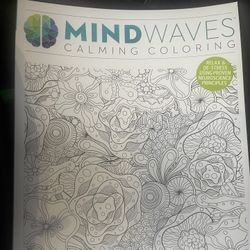 Brand New Calming Coloring Boos 