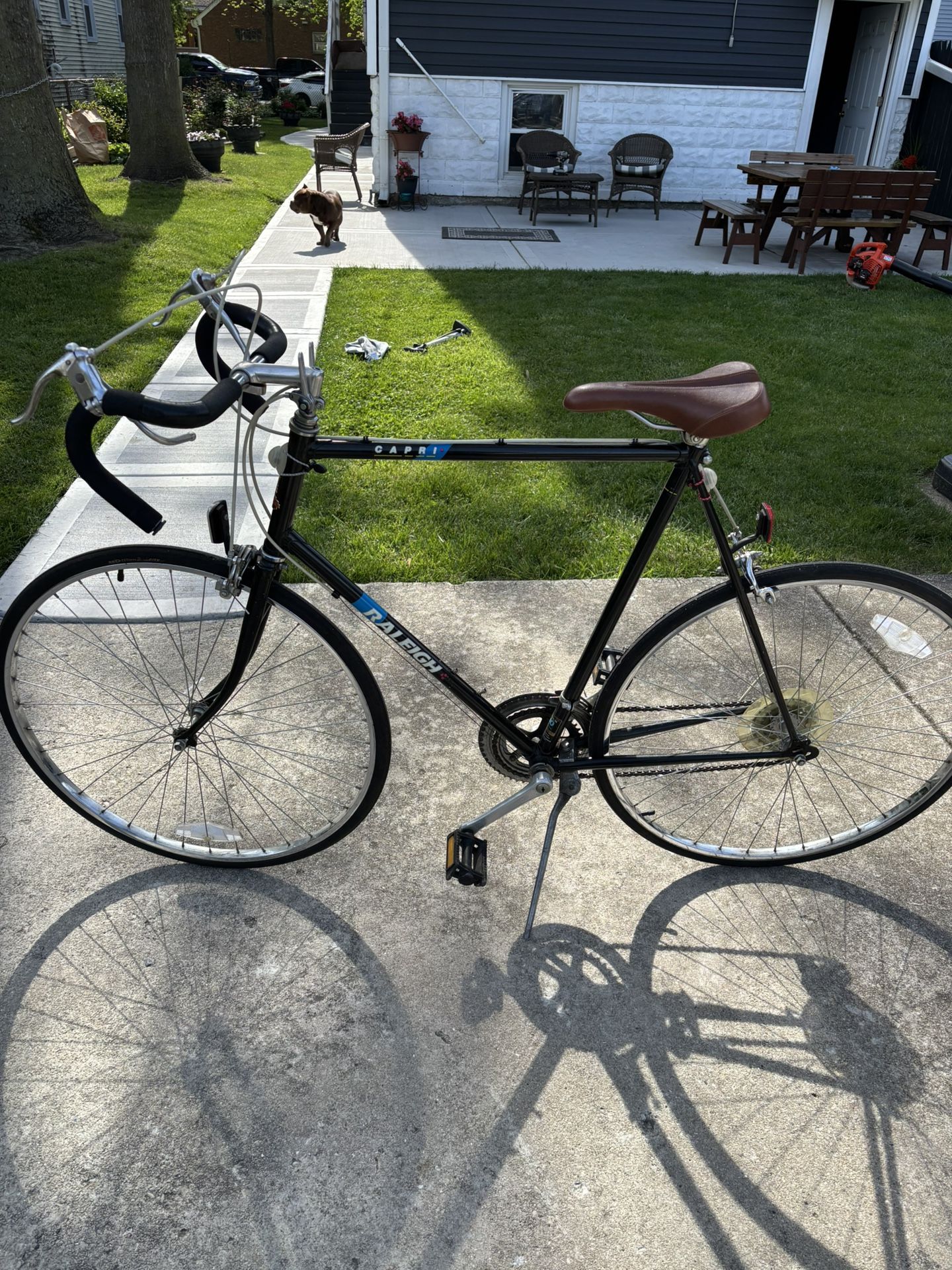 Raleigh Capri Road Bike For 5’10” & Taller Vintage road Bike