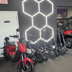 Electric Scooter 