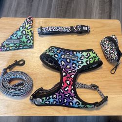Rainbow Leopard Reverisable Harness Bundle 
