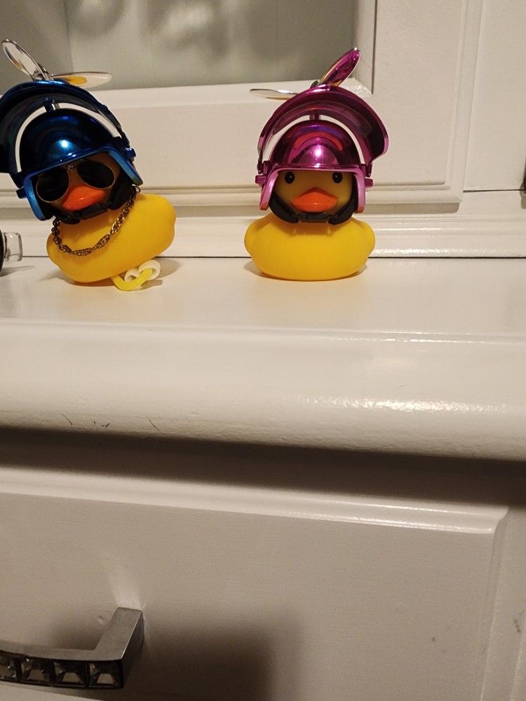 Motorcycle Ducks