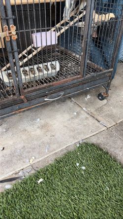 Bird cage
