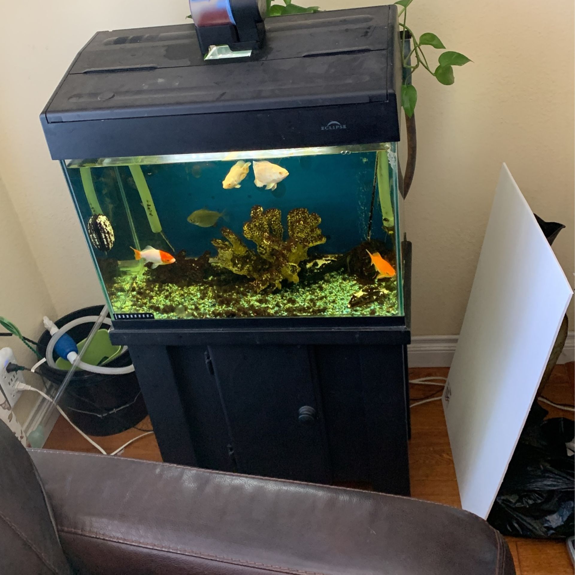 Eclipse 20 Gallon Fish Tank With Stand And Filter