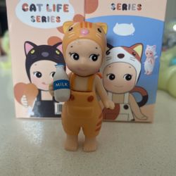 Secret cat life series