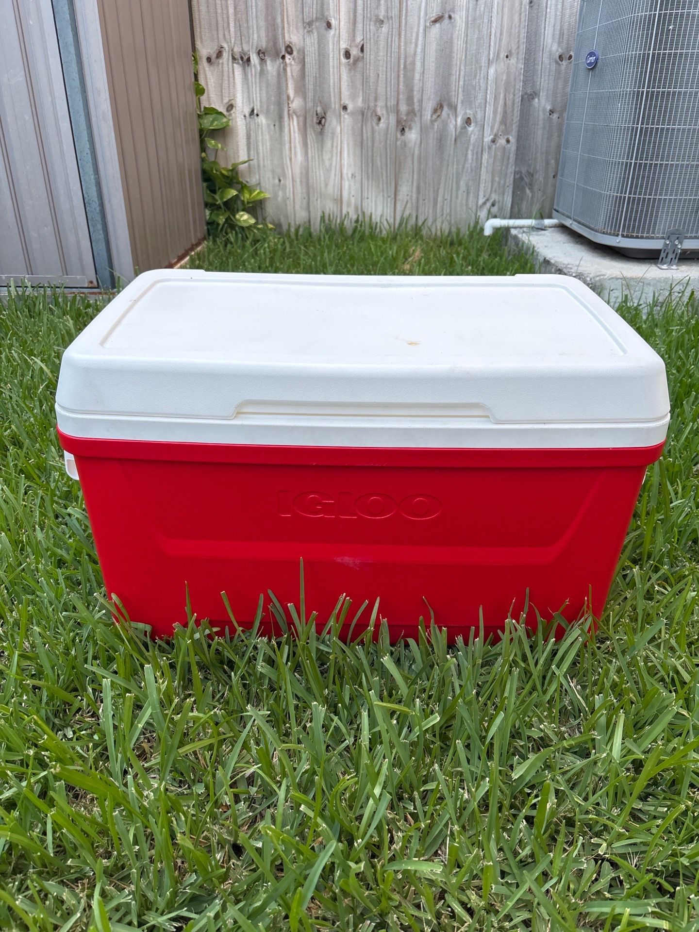 Large Igloo Cooler – Clean & Ready for Camping/Beach