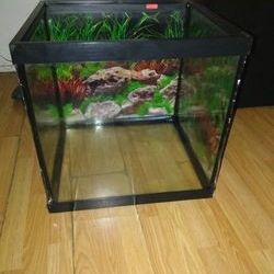 Fish Tank With  Homemade Hood  And Spong Filter 