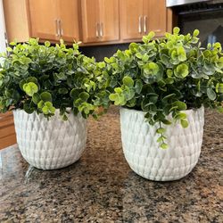 Set Of 2 Artificial Plants 