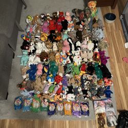 Beanie Baby Collection 