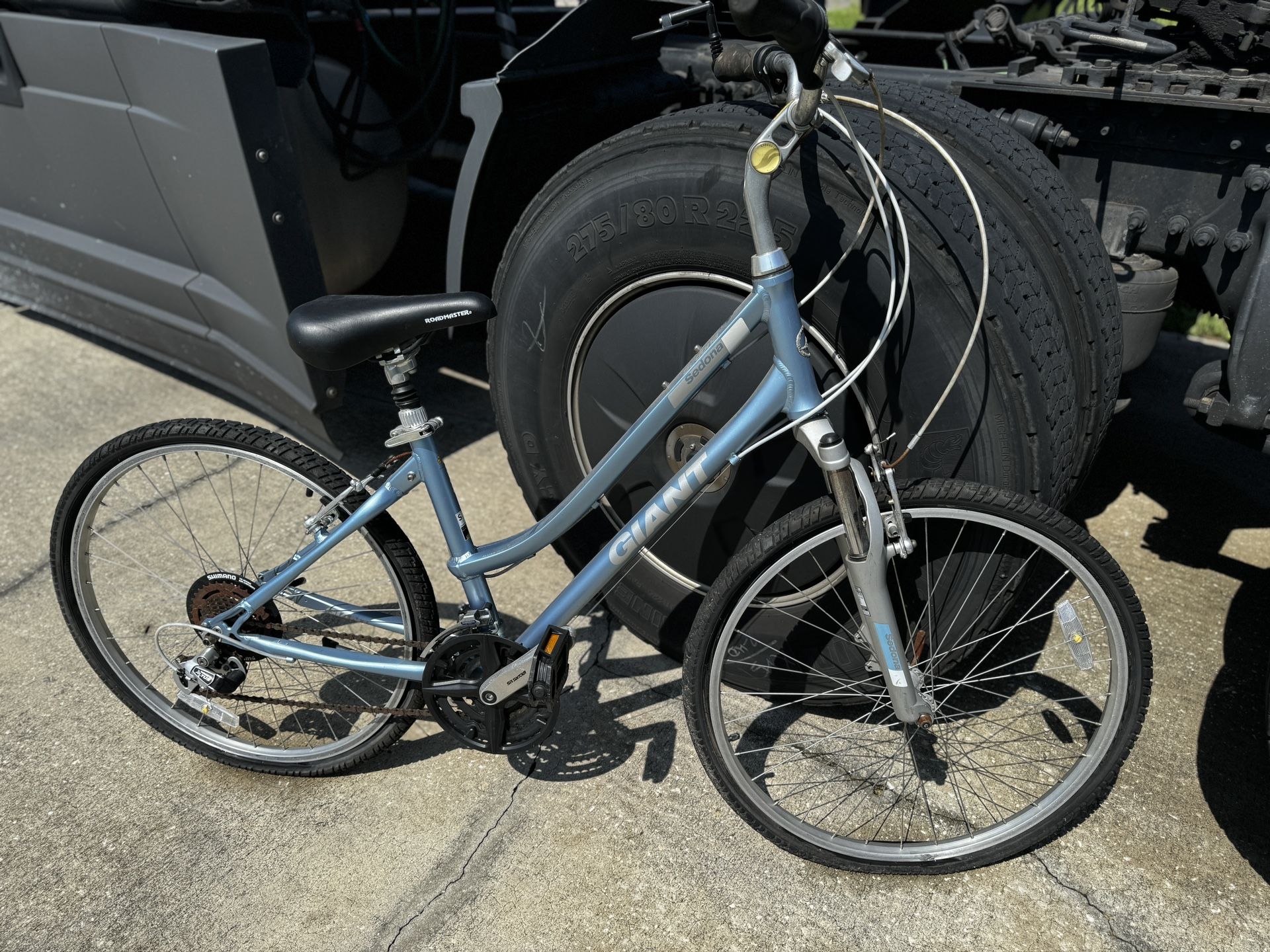 Giant Brand Bike