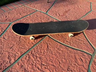 Skate Board