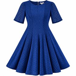 Danny & Nicole Womens S Size 6 Blue Lace Lined Fit & Flare Dress Short Sleeve