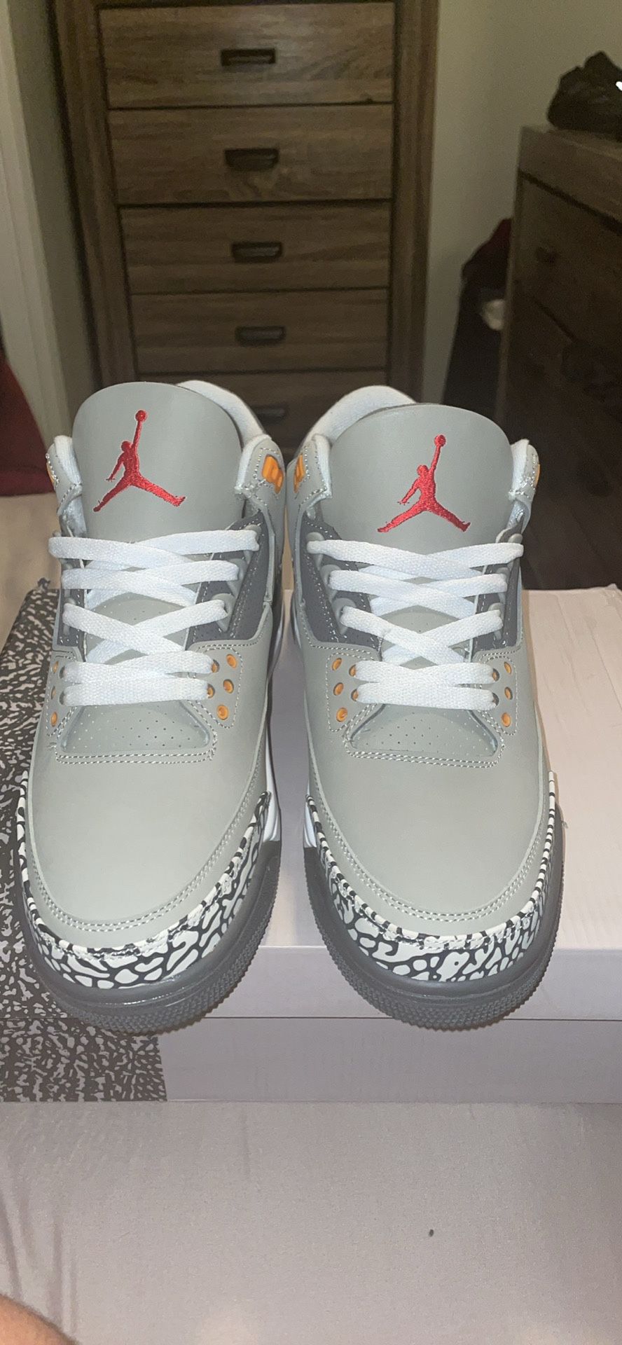 Jordan 3 Cool Greys Size 10