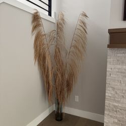 Decor Pampas Grass