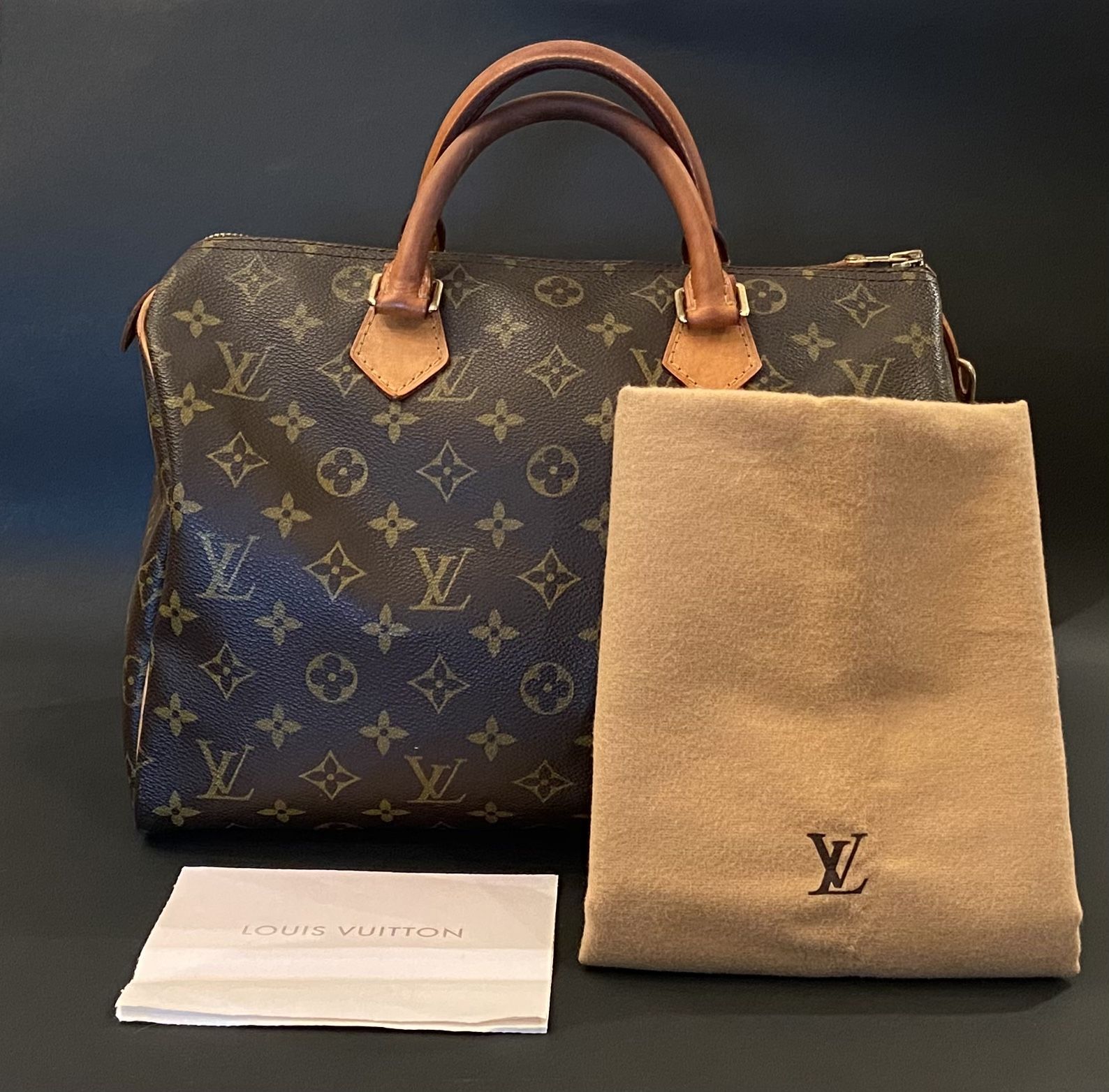 Louis Vuitton Speedy 30 Handbag 2002