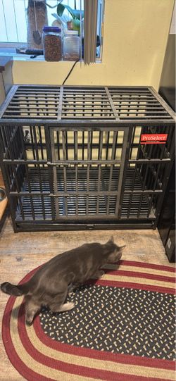 Pro select  large dog kennel