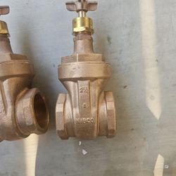 Nicole Gate Valve