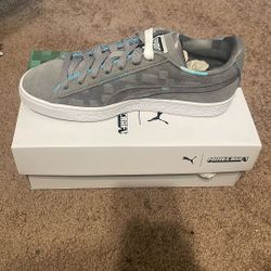 Minecraft Pumas