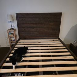 Living Spaces Queen Bed, Cat Not Included 