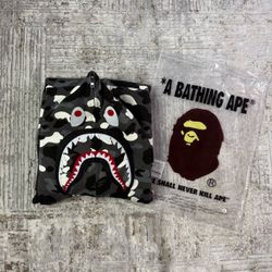 Bape shark