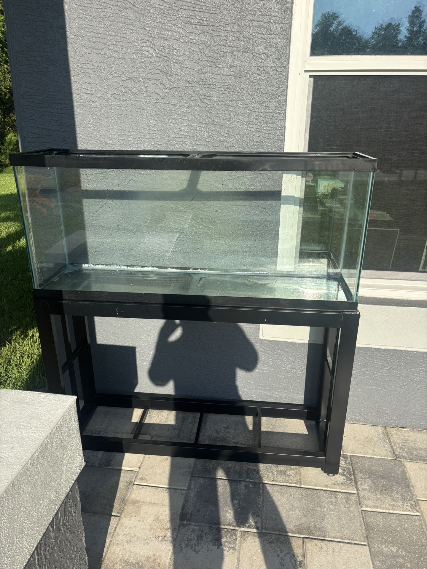 Fish Tank