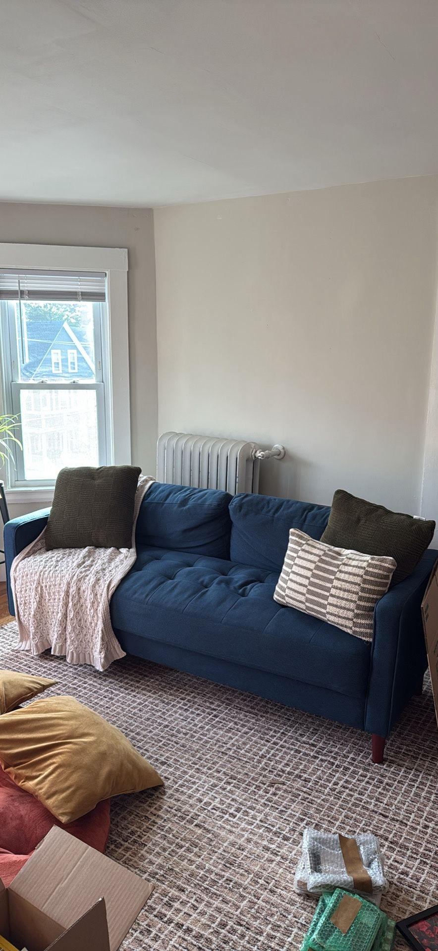 Blue Couch