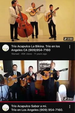 Trio Mariachi, guitarra, requinto y bajo